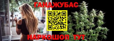 индика Кимры