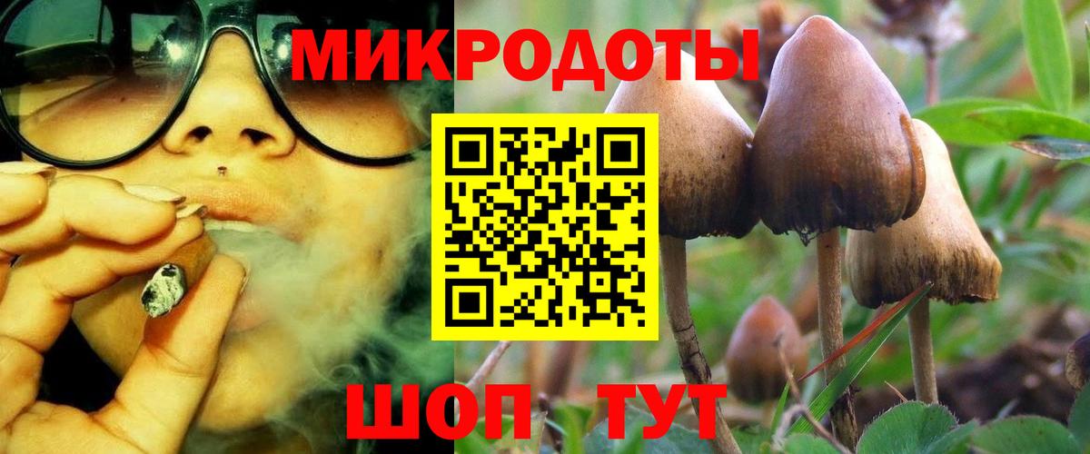 наркота  Вход с VPN  Красногорск  Галлюциногенные грибы Magic Shrooms  Псилоцибиновые грибы Magic Shrooms 